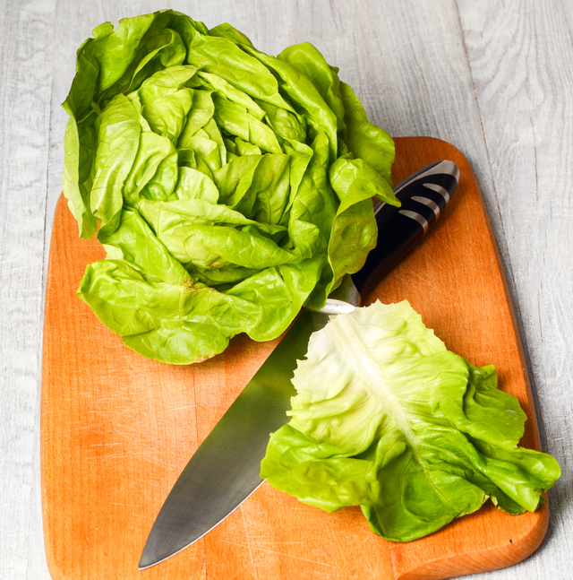 head of Boston lettuce and leaf