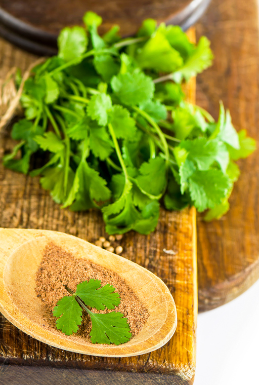 Cilantro leaves and ground coriander on a wooden background