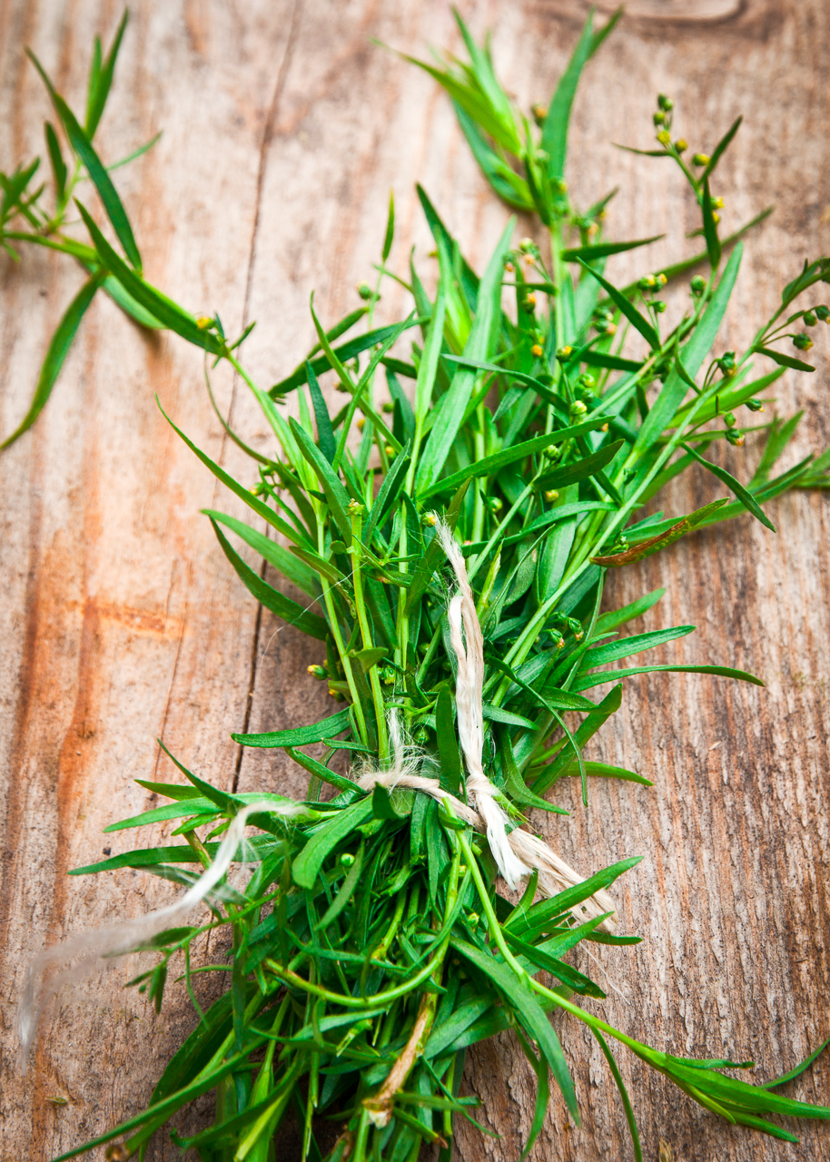 fresh tarragon