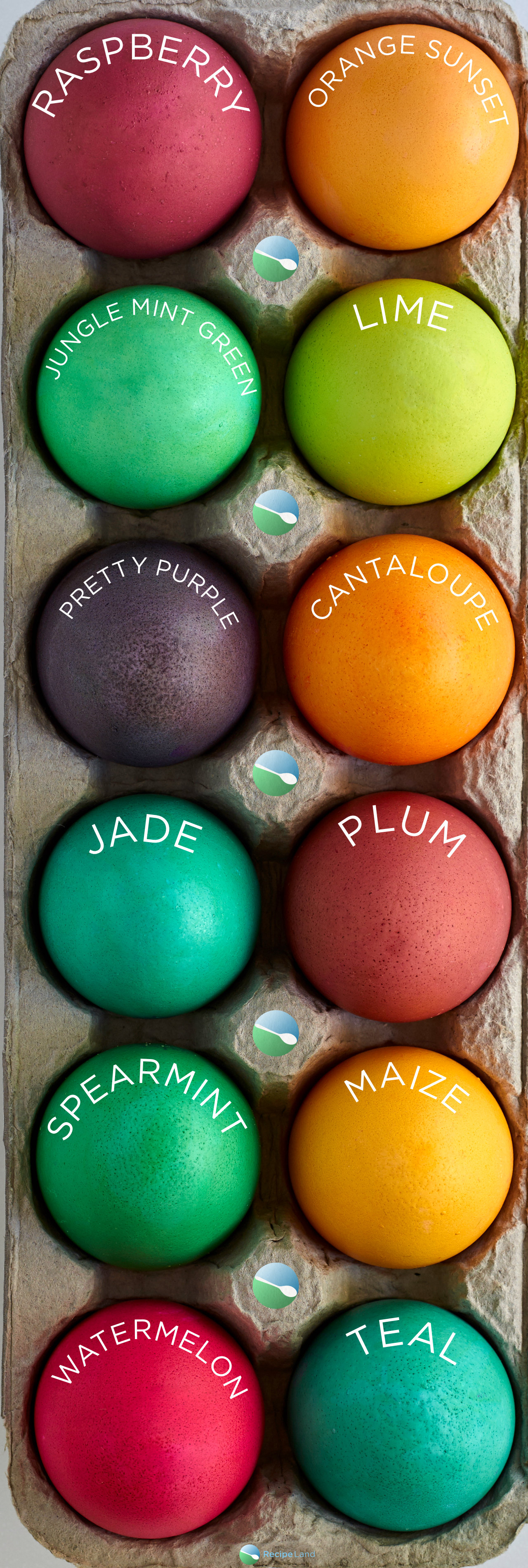 Egg Color Chart