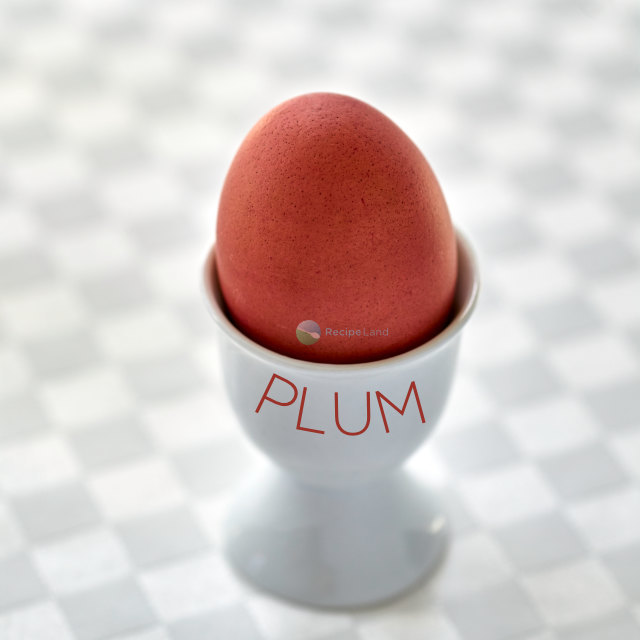 Plum Easter Egg.jpg