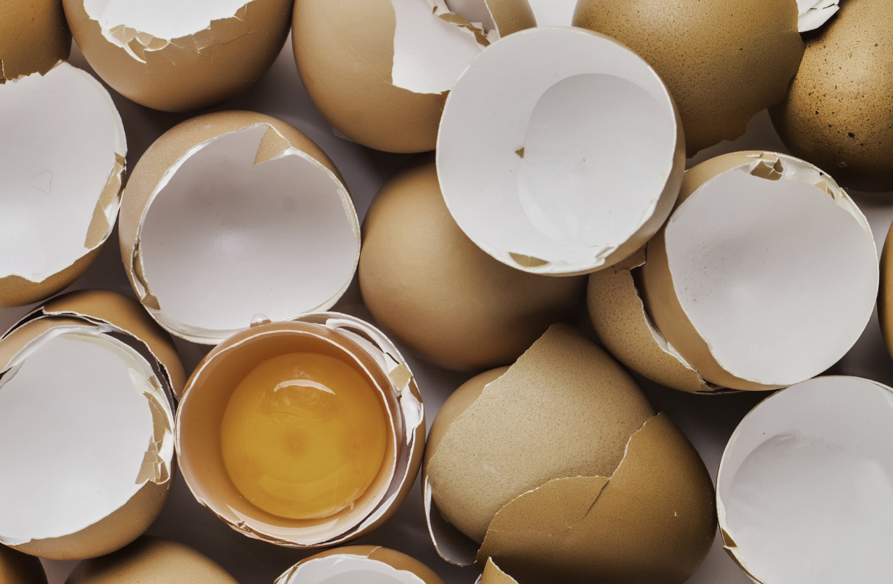 egg shells.jpg