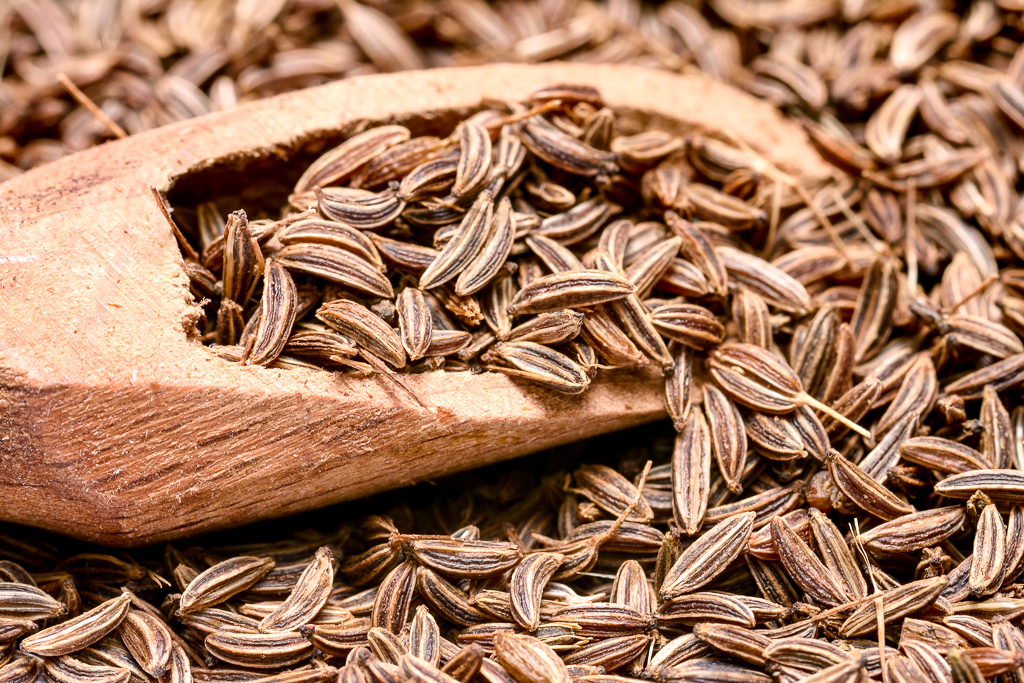 Caraway seed close-up