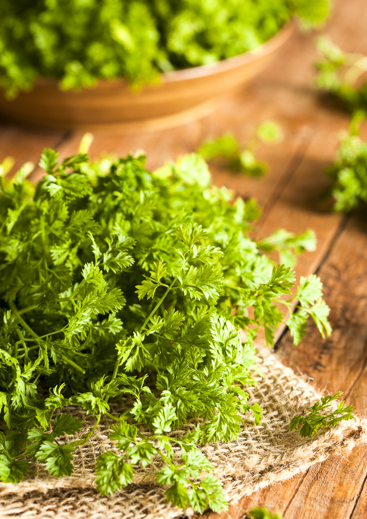 Fresh chervil 