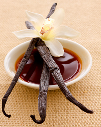 Vanilla extract, vanilla beans and vanilla flower
