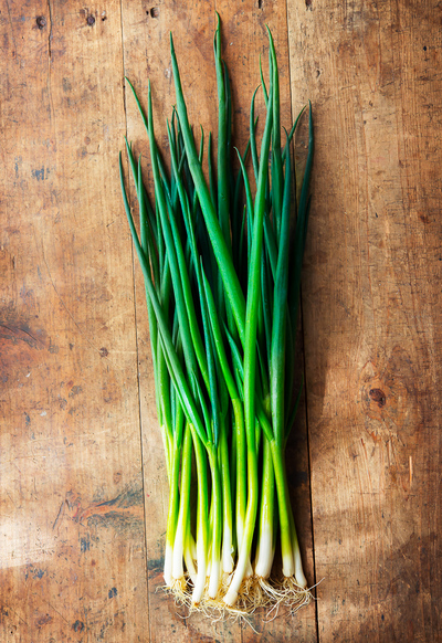 bunch of spring onions, scallions