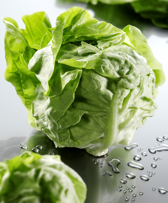 head of lettuce