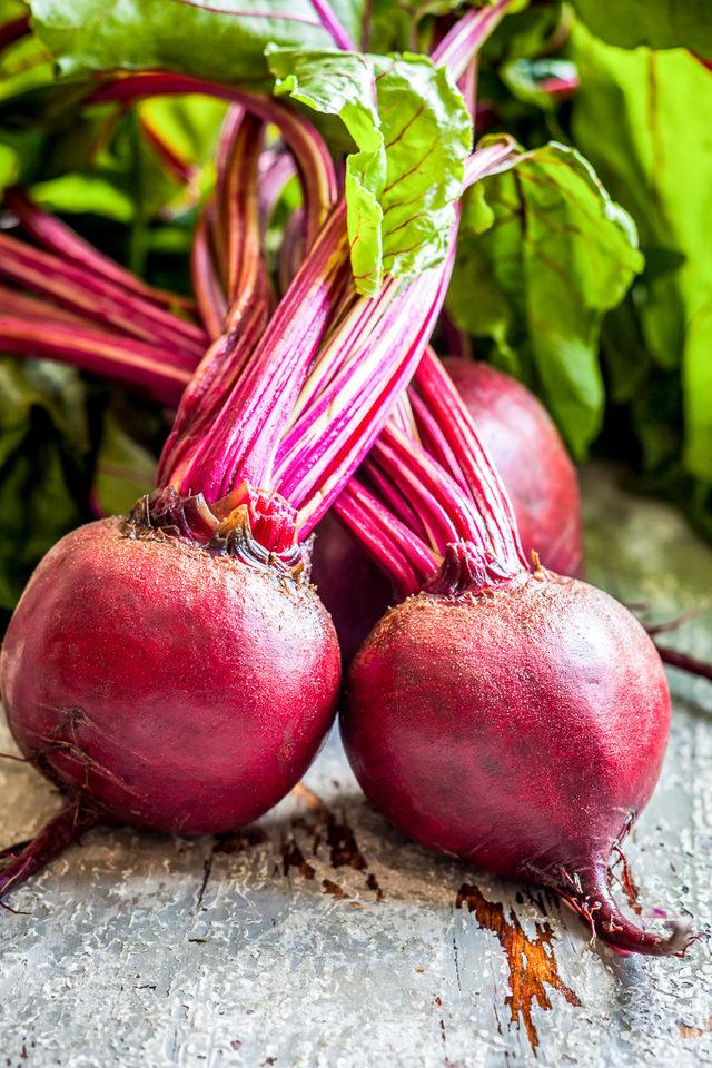 fresh beets