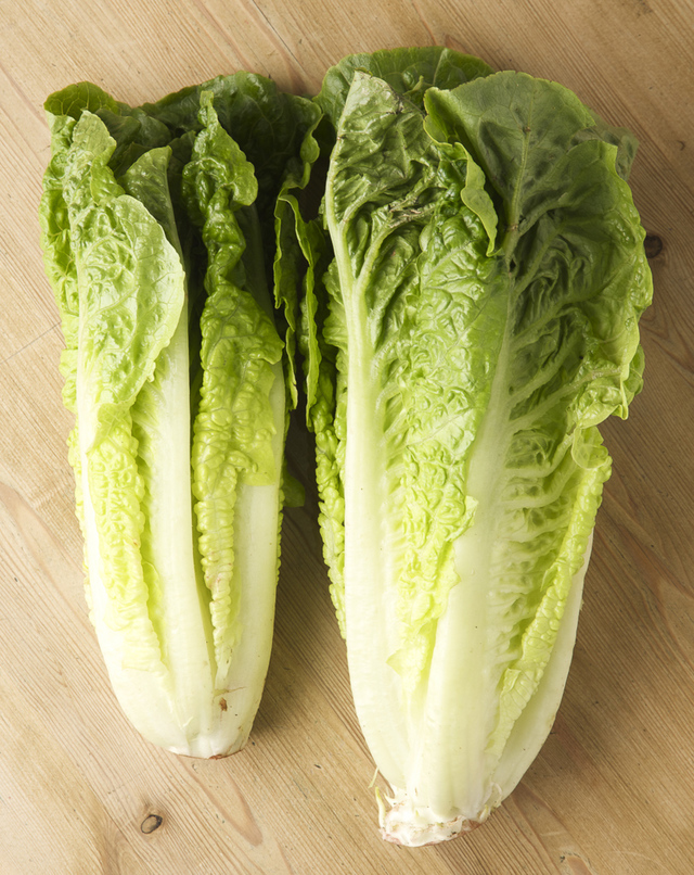 head and heart of romaine lettuce