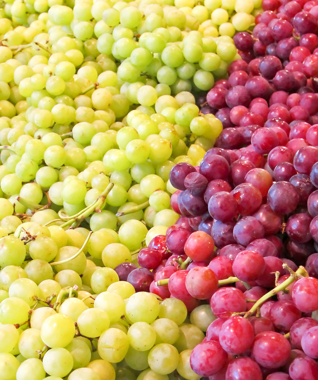 red and green seedless grapes