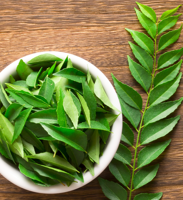 fresh curry leaves