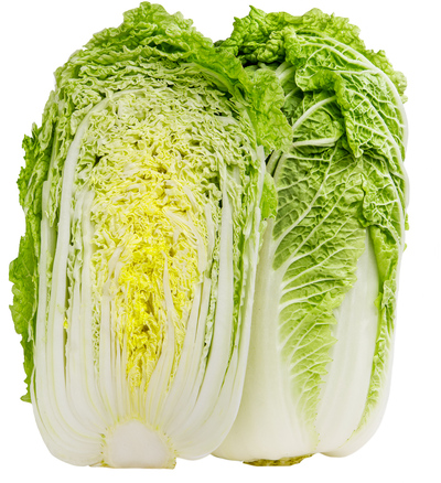 napa (Chinese) cabbage