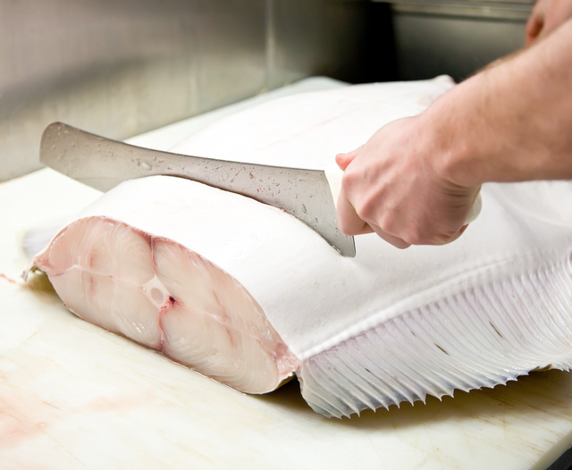 whole halibut being cut into fillets